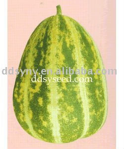 Sheng Yuan Huang Jin Dao sweet melon seeds