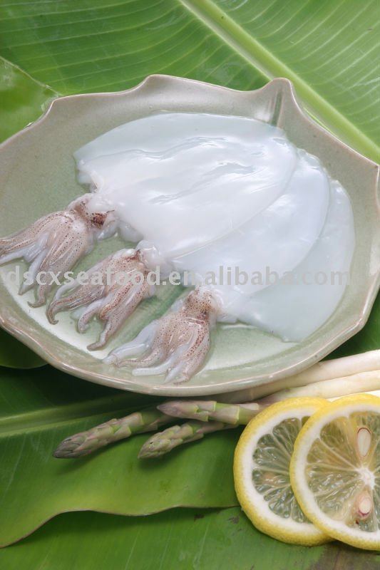 Frozen Squid Sushi