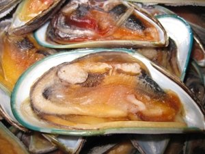 FROZEN GREEN MUSSELS HALF SHELL