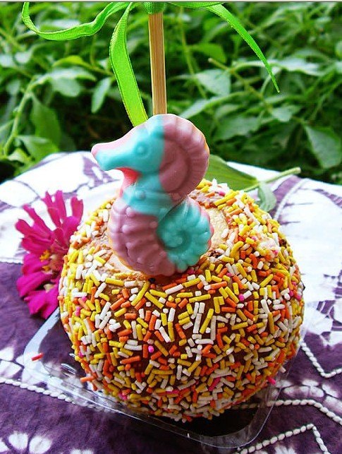 sweet desserts -Sea Cuties Caramel Apple,United States price supplier ...