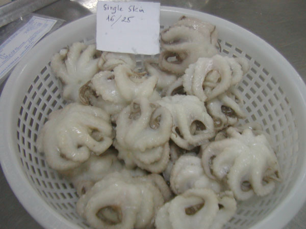Frozen Baby Octopus Whole Cleaned