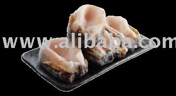Chilean Loco Abalone (Concholepas concholepas)