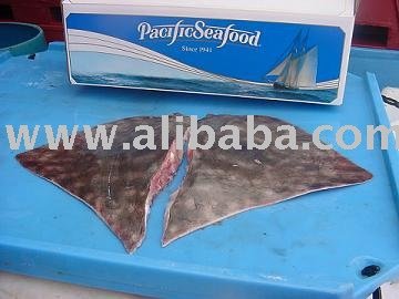 Skate Wing (Raja binoculata, Raja rhina)