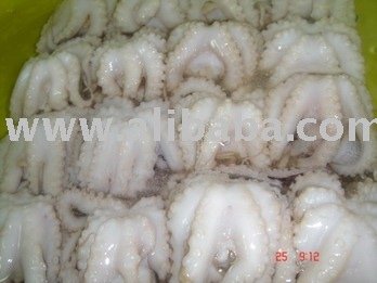OCTOPUS, CUTTLEFISH, SQUID