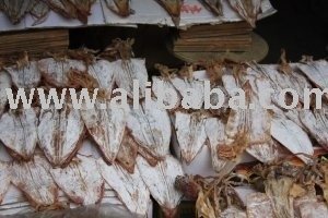 Dried Squid