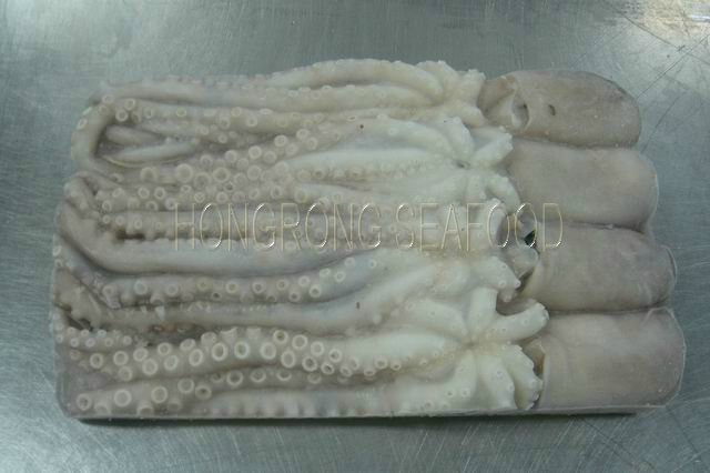 Poulp Squid Octopus (W / R)