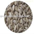Without shell sunflower seed
