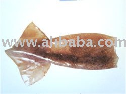 Frozen squid tube (Skin on)
