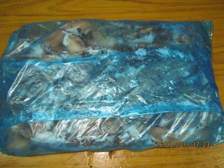 Giant squid fresh  frozen   tentacle s