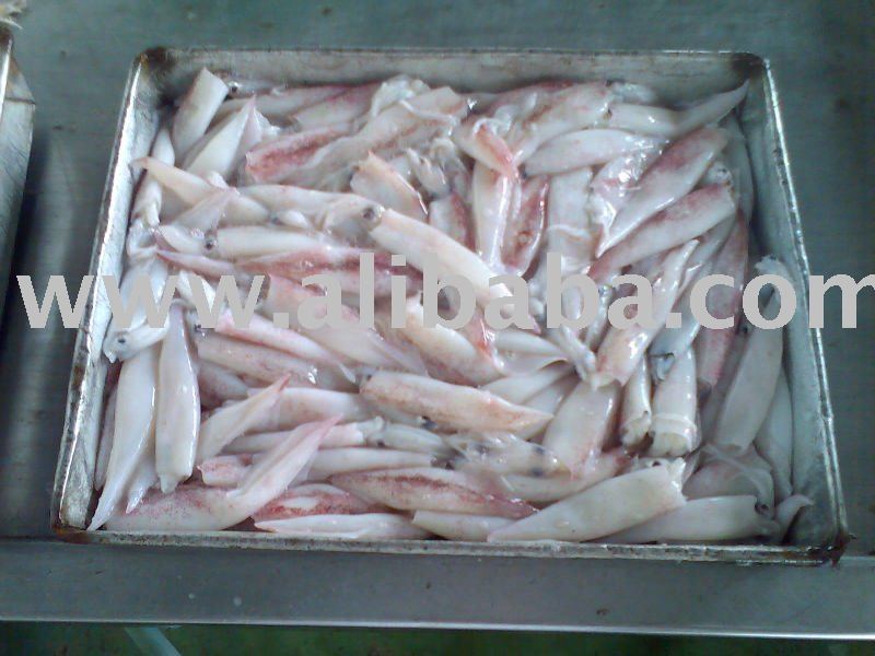 SOTONG JARONG