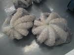 Frozen seafood/mollusks: Frozen Octopus