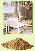  Roasted   Soy   Beans 