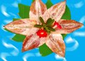 Dried Squid Fillet