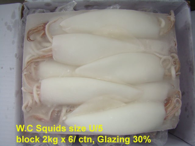 Frozen Whole Cleaned Squid,Taiwan price supplier - 21food