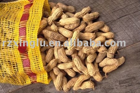 2010 New Crop Chinese Peanut in Shell
