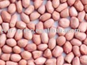 Peanut kernels