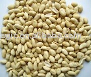 Blanched Peanut