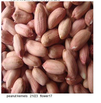 2011 New Crop Chinese Peanut Kernels