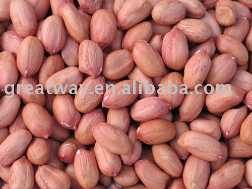 groundnut kernels