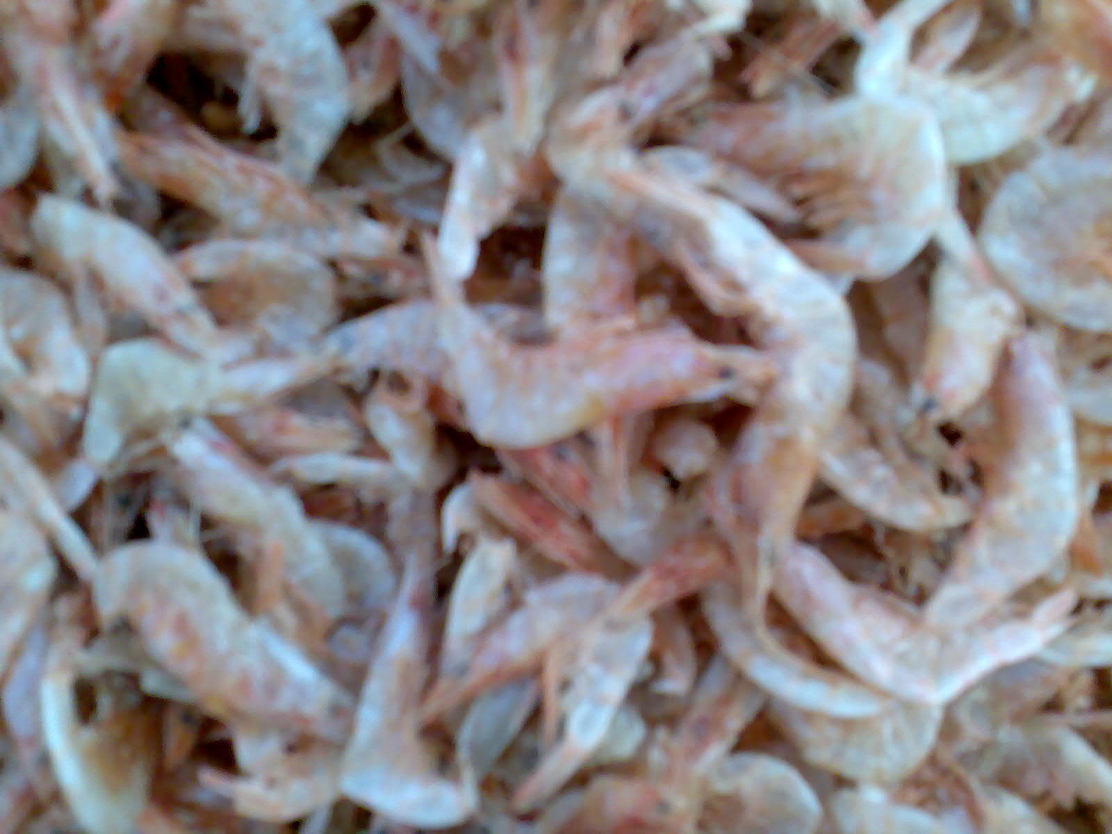 Dried fish