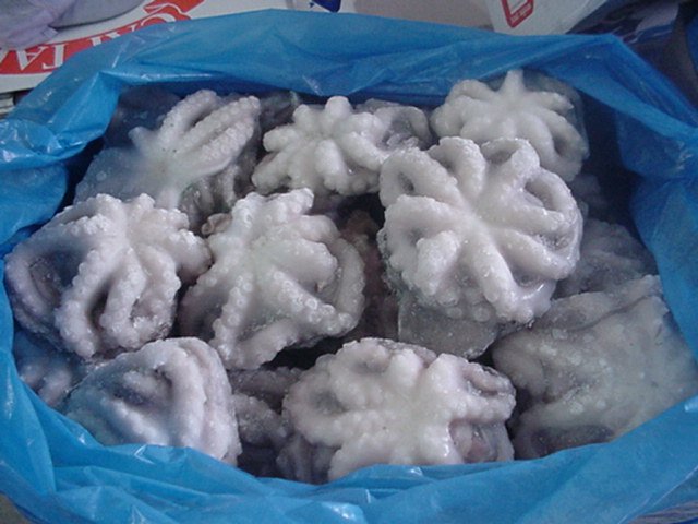  Octopus   Iqf , Flower Pack