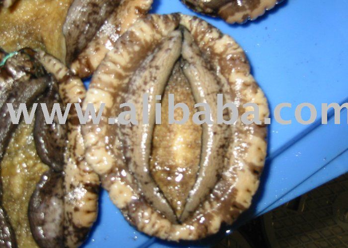 Abalone