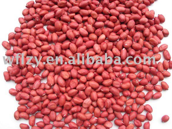 red skin peanut