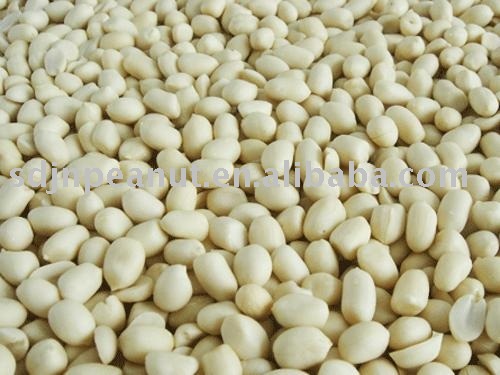 Blanched Peanuts 41/51