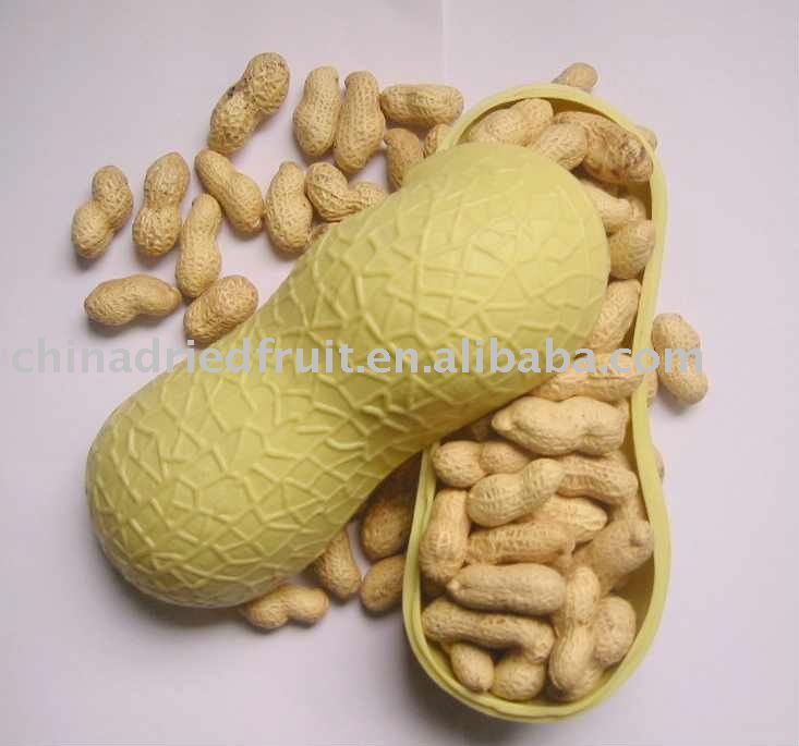 2010 new crop peanut in shell from China