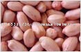 High quality Indian peanuts