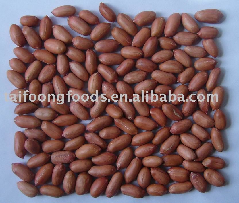 ROASTED PEANUTS WITH RED SKIN