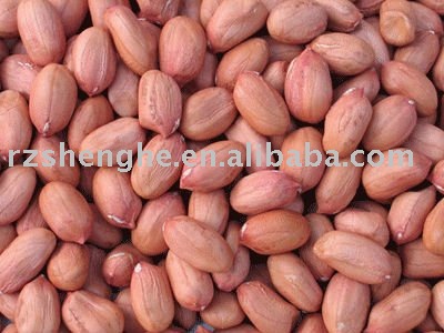 peanut kernels