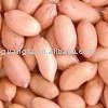 peanut kernels