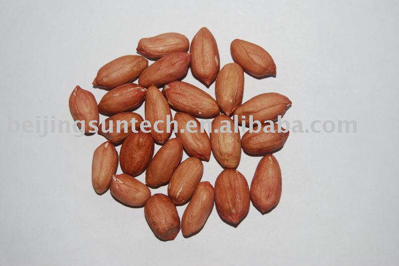 peanut kernels size 24/28