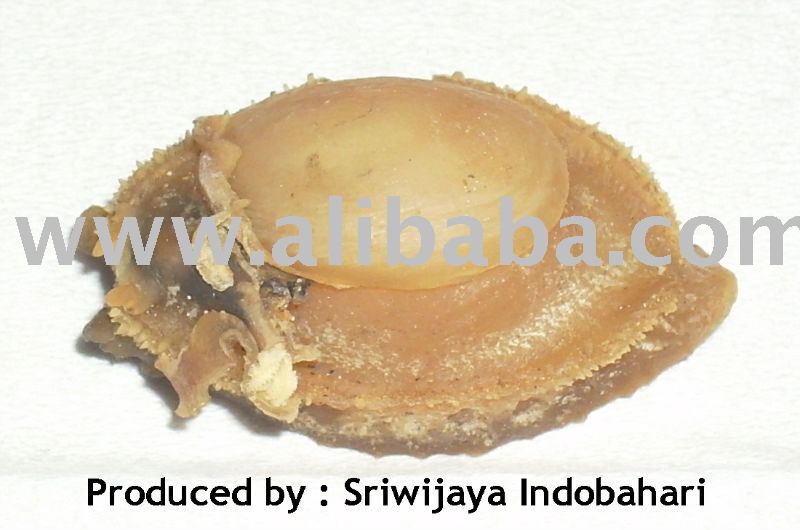  Dried  Abalone