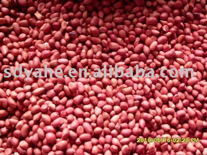 redskin peanut kernel  50/60