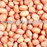 Ground Nut