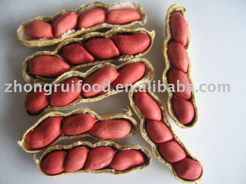 red skin peanut kernels