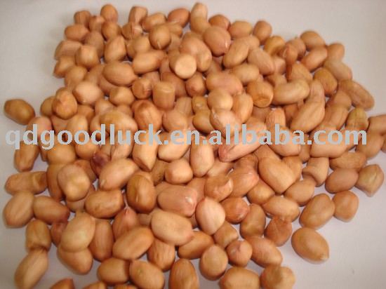 chinese  red   kernel  peanut