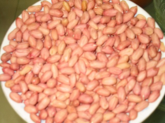 Peanut