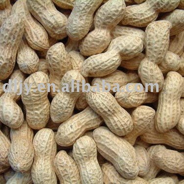 Peanuts in shell