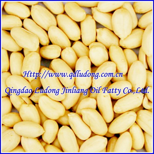 chinese blanched peanut kernels