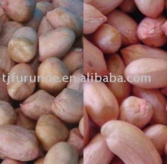 Peanut kernels