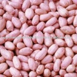 HPS Ground Nut Kernels Bold