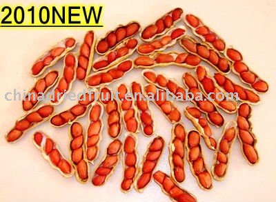 Four kernels red skin peanut