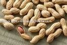 peanut