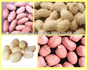 in shell peanuts