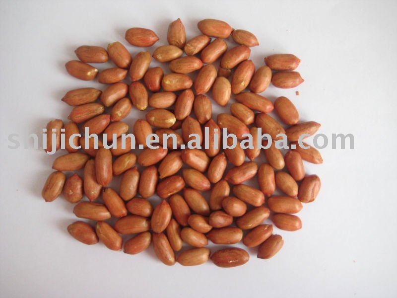2010 crop,roasted peanut kernels with red skin