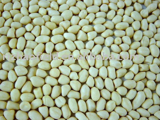 Blanched peanuts kernels, round type,China FIELD price supplier - 21food