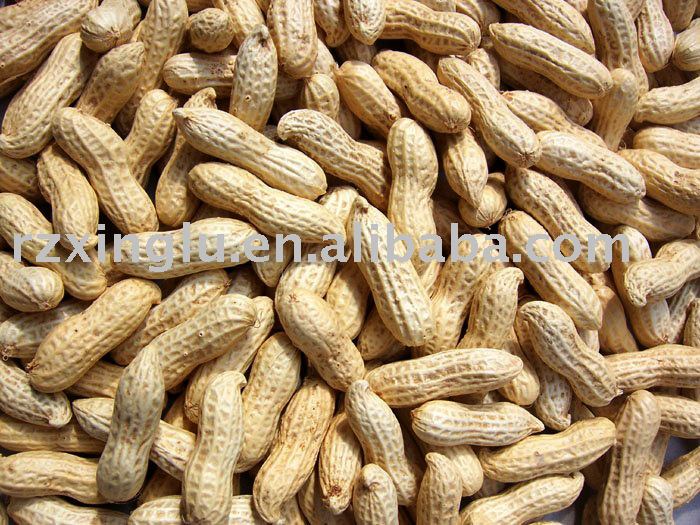Roasted Peanut In shell